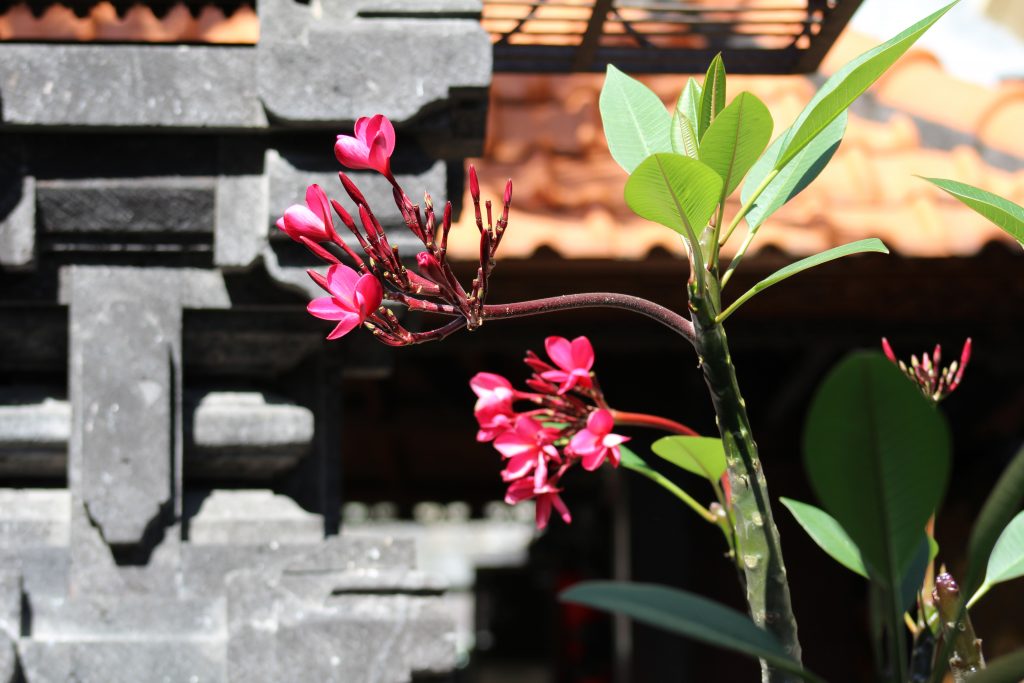 Kuta Temple flowers